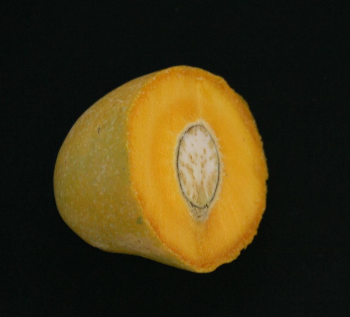 Paharpur Sinduria